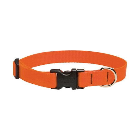 Lupine LupinePet Basic Solids Blaze Orange Blaze Orange Nylon Dog Adjustable Collar 52501